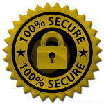 secure-icon